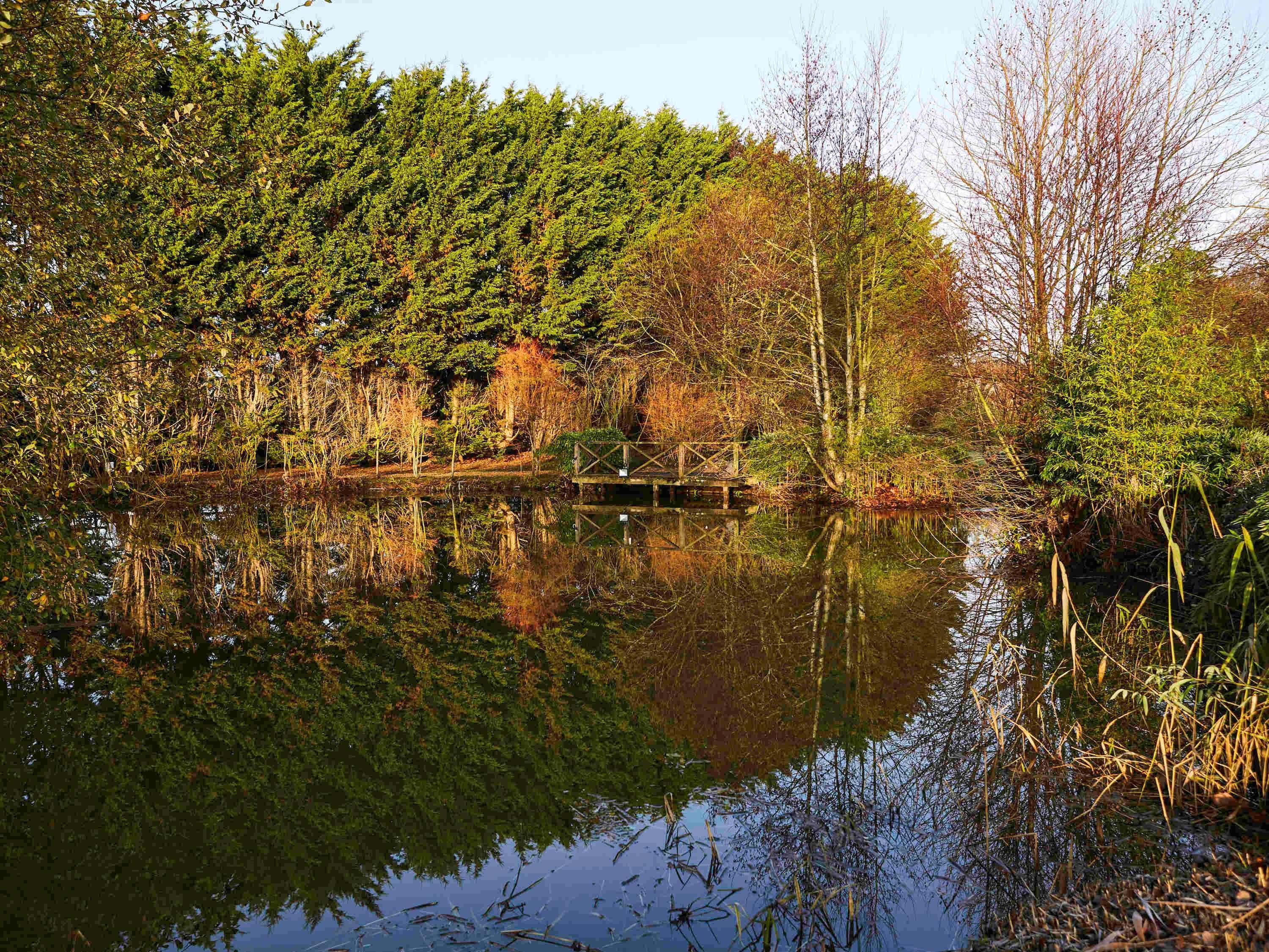 Mercure Newbury West Grange Hotel Thatcham Eksteriør billede
